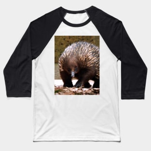 Echidna Baseball T-Shirt